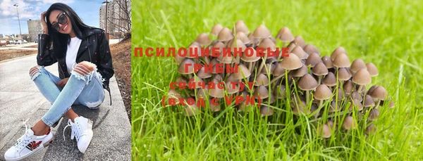 прущий лед Балахна